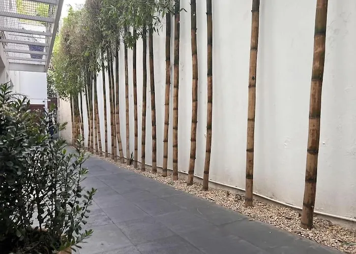 Condesa Amsterdam 204 Private 1bed 1ba On Amsterdam Av Apartamento México DF
