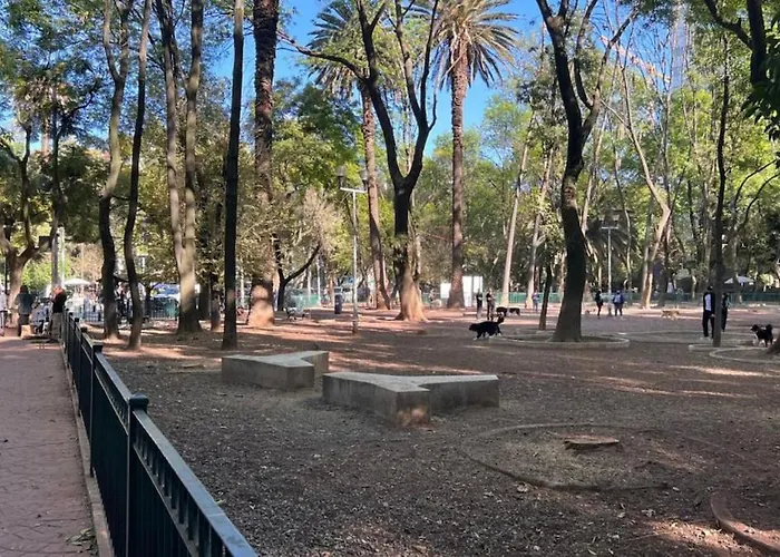 Condesa Amsterdam 204 Private 1bed 1ba On Amsterdam Av * メキシコシティ
